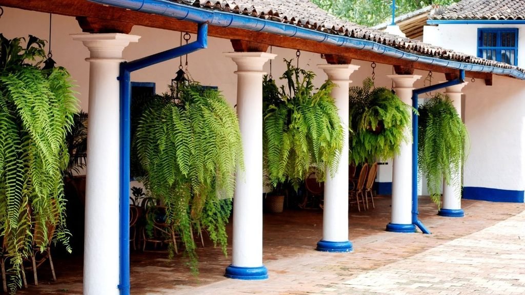 White columns with blue trim along a hacienda-style colonnade, decorated with hanging fern baskets and terracotta roof tiles
